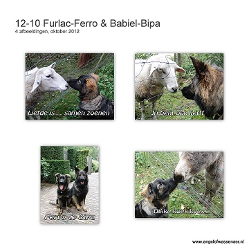 Babiël-Bipa & Furlac-Ferro in het bos met veel dieren